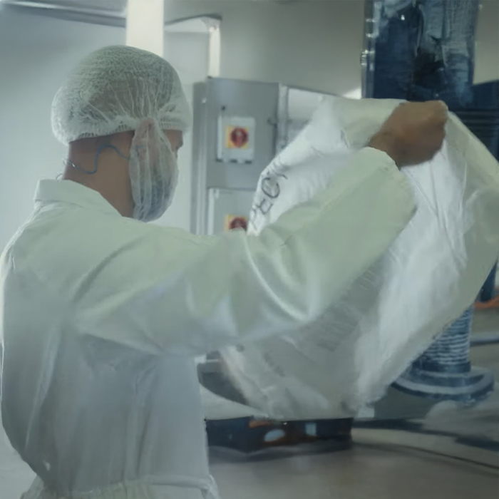 Paysage réunionnais avec vaches